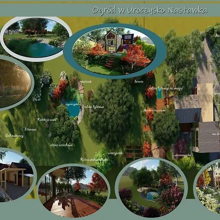 Nastawka Creativity And Regeneration شاليه